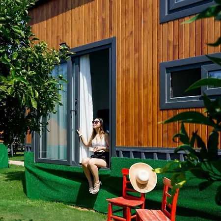Miya Garden Tiny House Bodrum Yalikavak
